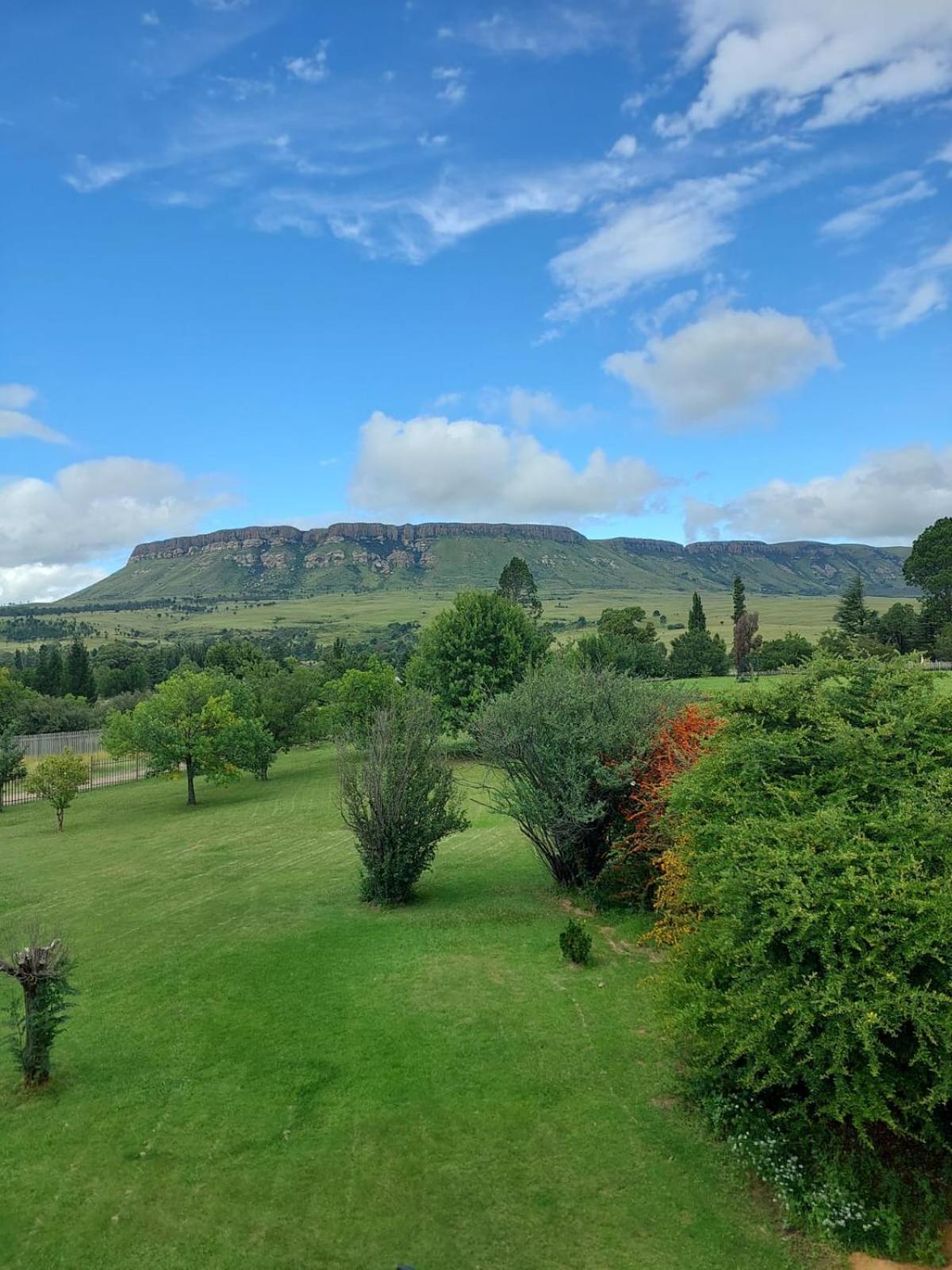 Skylight Guest House Harrismith Eksteriør billede